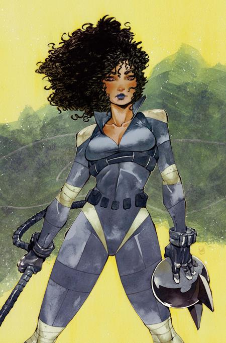 ABSOLUTE CATWOMAN #3 (OF 6) CVR D CHUMA HILL CARD STOCK VARIANT