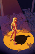 BARBARA GORDON BREAKOUT #3 CVR C CHRIS WILDGOOSE CARD STOCK VARIANT