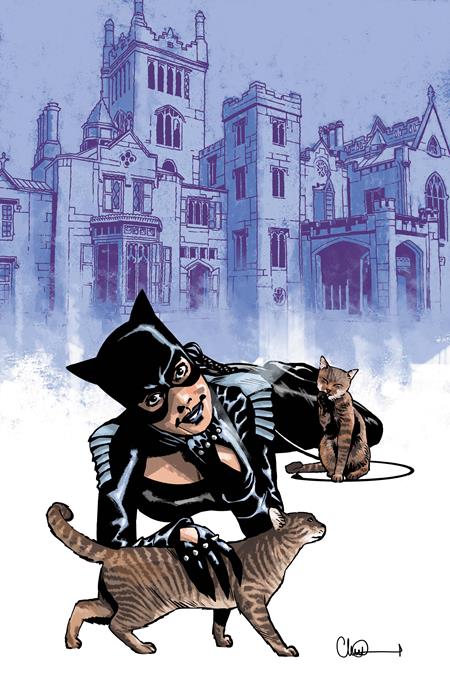 CATWOMAN #91 CVR C CHARLIE ADLARD CARD STOCK VARIANT (BATMAN BAD SEEDS)