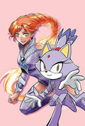 DC X SONIC THE HEDGEHOG THE METAL LEGION #3 (OF 5) CVR B SAOWEE CARD STOCK VARIANT