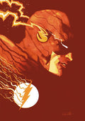 FLASH #38 CVR C RAUL ALLEN CARD STOCK VARIANT
