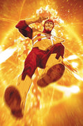 FURY OF FIRESTORM #9 (OF 9) CVR B MITCH GERADS CARD STOCK VARIANT