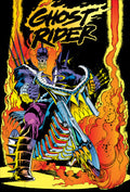 GHOST RIDER DANNY KETCH OMNIBUS VOL 3 DIRECT MARKET RON GARNEY CVR HARDCOVER