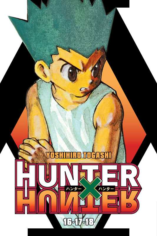 HUNTER X HUNTER (3-IN-1 EDITION) VOL 6