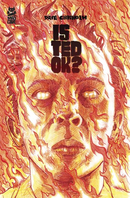 IS TED OK TRADE PAPERBACK