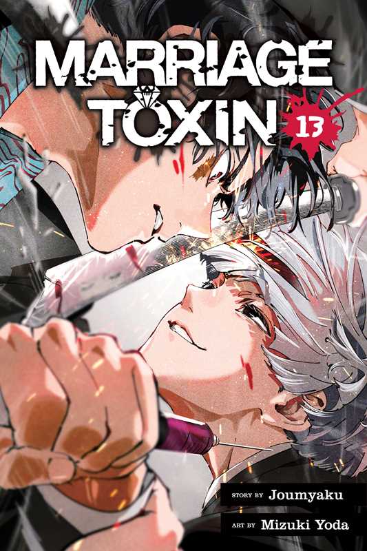 MARRIAGE TOXIN VOL 13