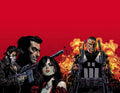 MARVEL KNIGHTS PUNISHER TRADE PAPERBACK