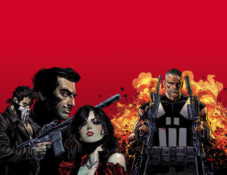 MARVEL KNIGHTS PUNISHER TRADE PAPERBACK