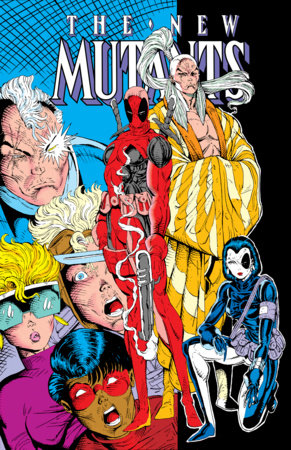 NEW MUTANTS OMNIBUS VOL 4 DIRECT MARKET LIEFELD DEADPOOL CVR HARDCOVER