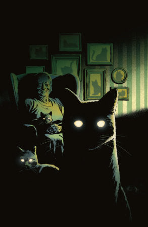 STUFF OF NIGHTMARES THE CAT IN THE COFFIN #1 CVR C HOMAGE GORHAM VARIANT
