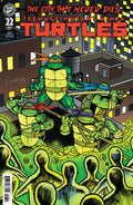 TEENAGE MUTANT NINJA TURTLES #22 CVR D RUGG VARIANT