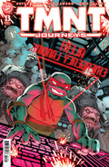 TMNT JOURNEYS #13 CVR B WACHTER VARIANT